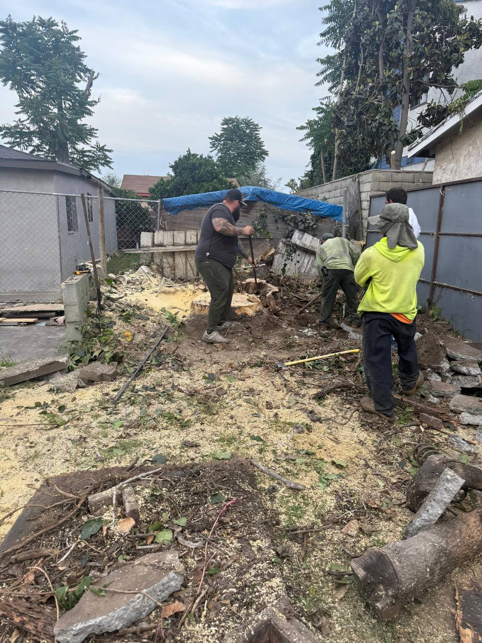 Crew digging out a tree stump