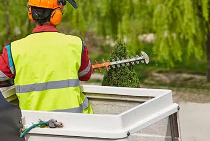 Arborist pruning tree branches