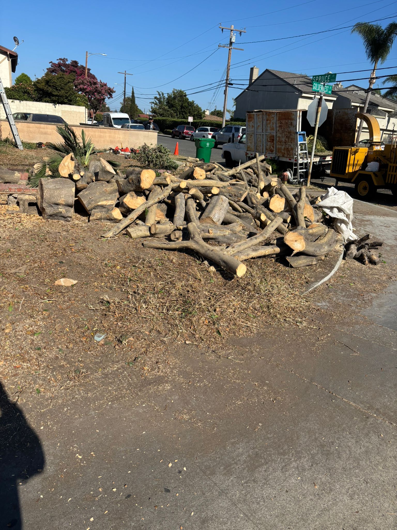 Tree removal in progress